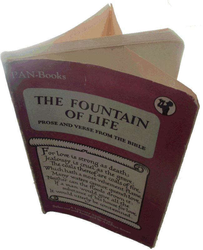 The Fountain Of Life