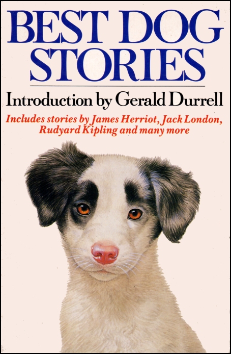 Best Dog Stories