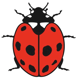 Ladybird