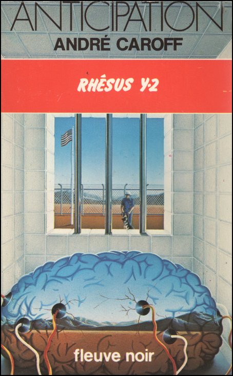 Rhesus Y-2