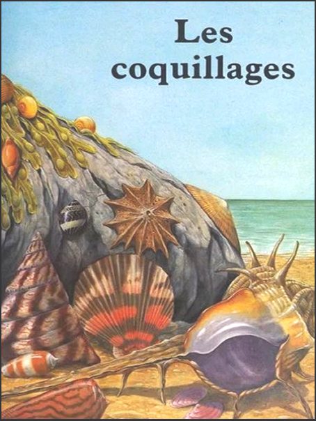 Guide to Shells
