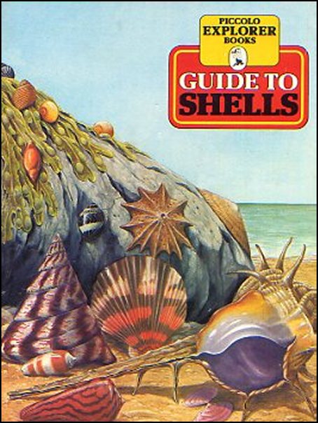Guide to Shells