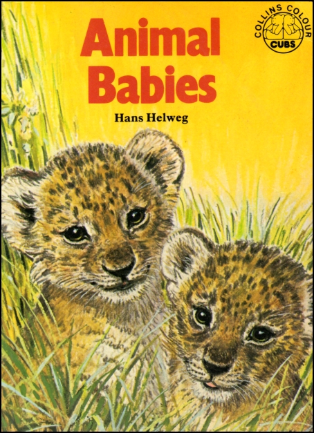 Animal Babies