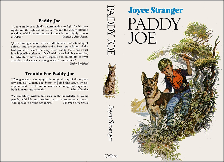 Paddy Joe