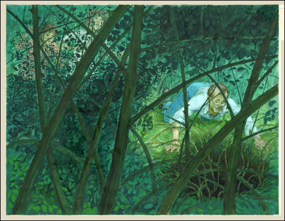 The Fox Hole