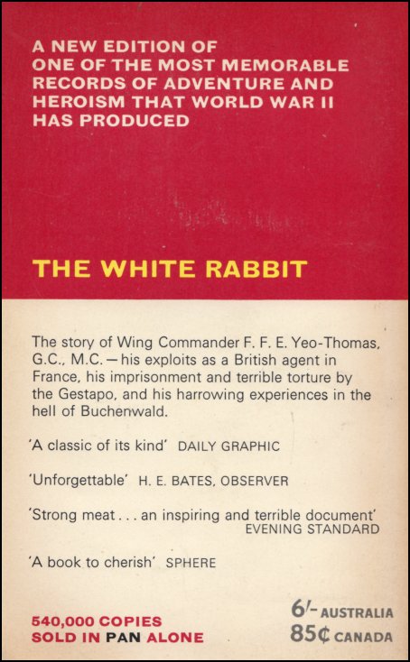 The White Rabbit