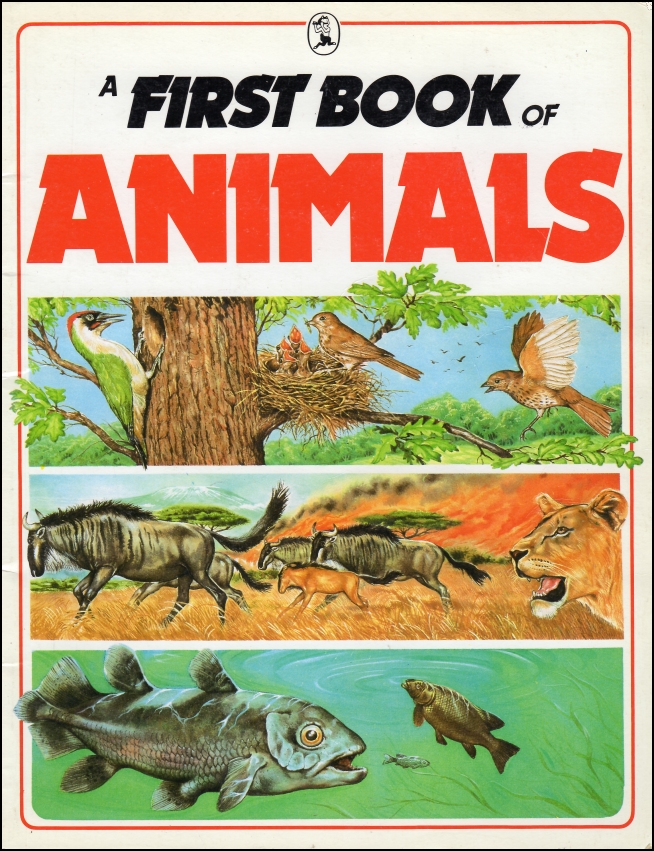 First Book of Animals