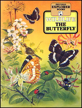 The Butterfly