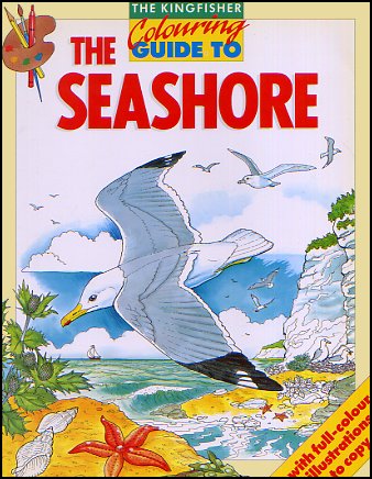 Colouring Guide To The Seashore