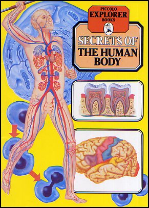 Secrets Of The Human Body