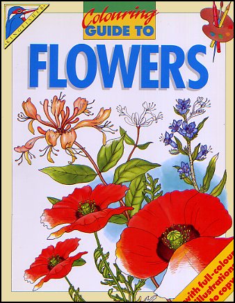 Colouring Guide To Flowers