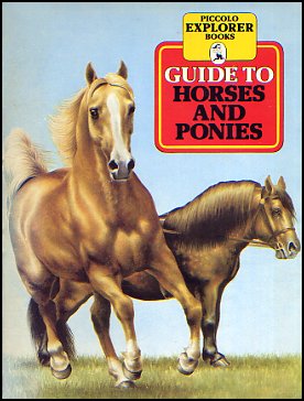 Horses And Ponies