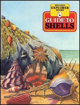 Guide To Shells