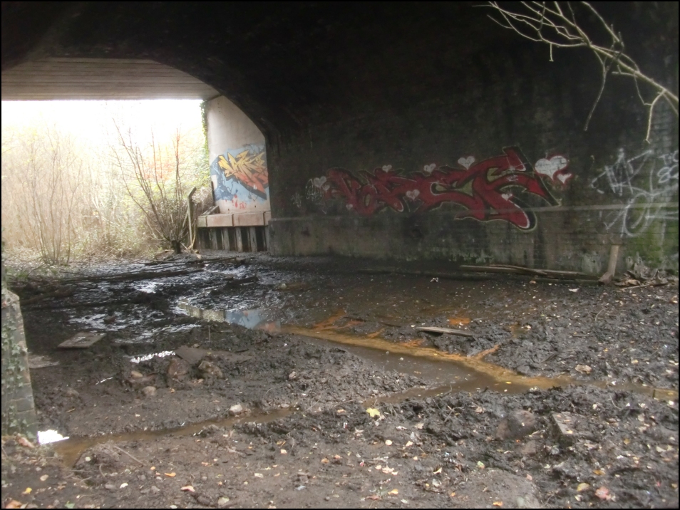 Bridge