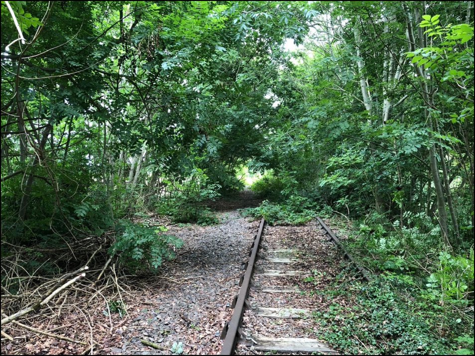 Hall Lane
