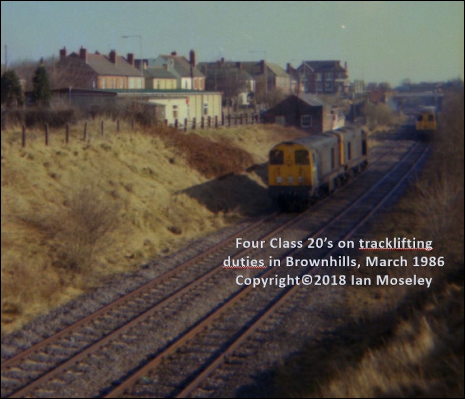 Ian Molesley