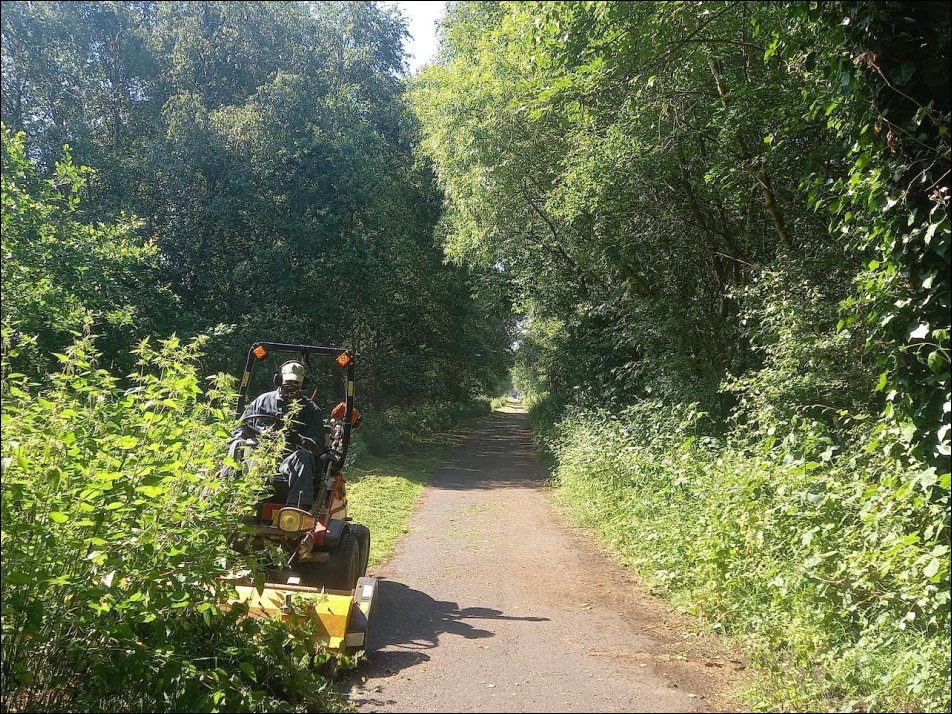 Mowing