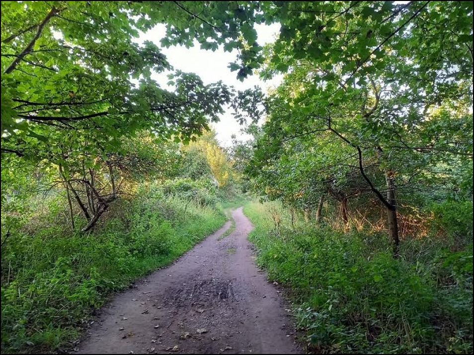 Pelsall