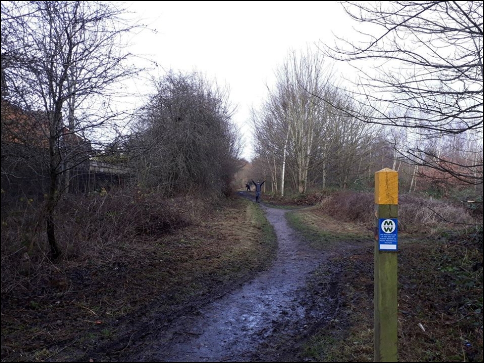 Pelsall Station