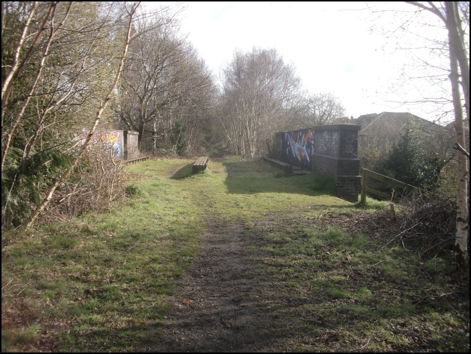 Looking North
