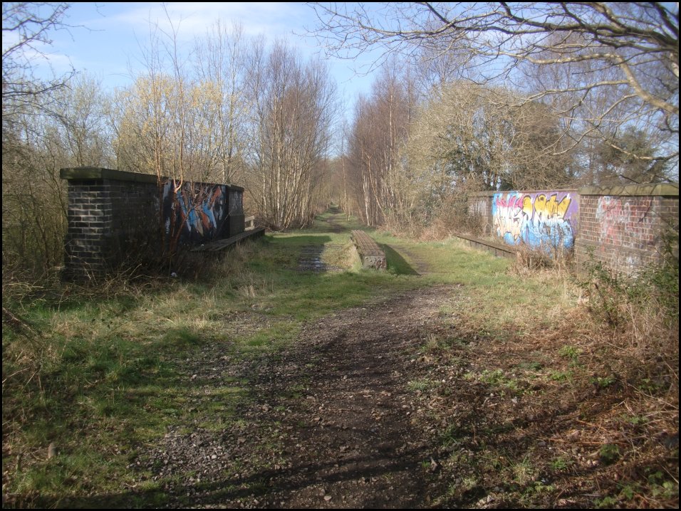 Looking South