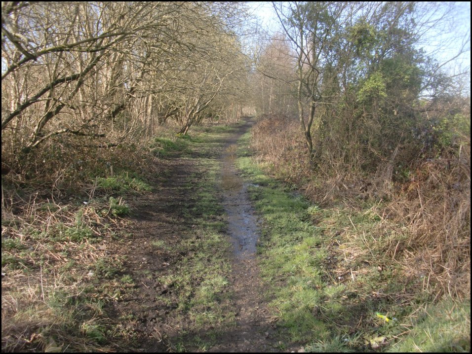 Looking South