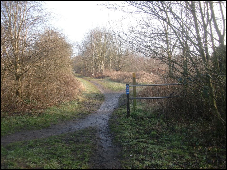 Looking North