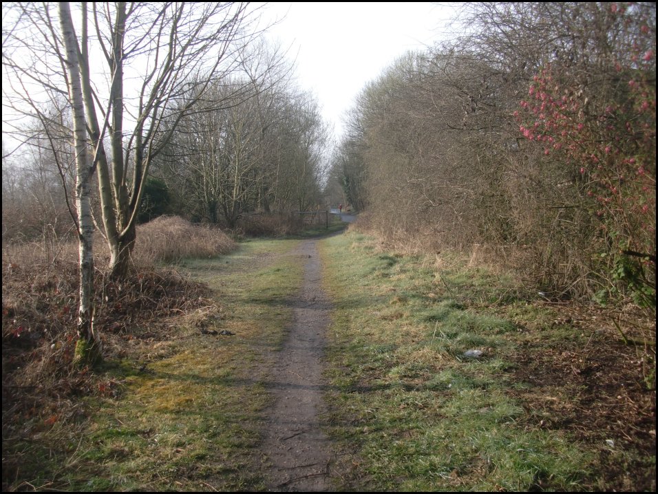Looking South