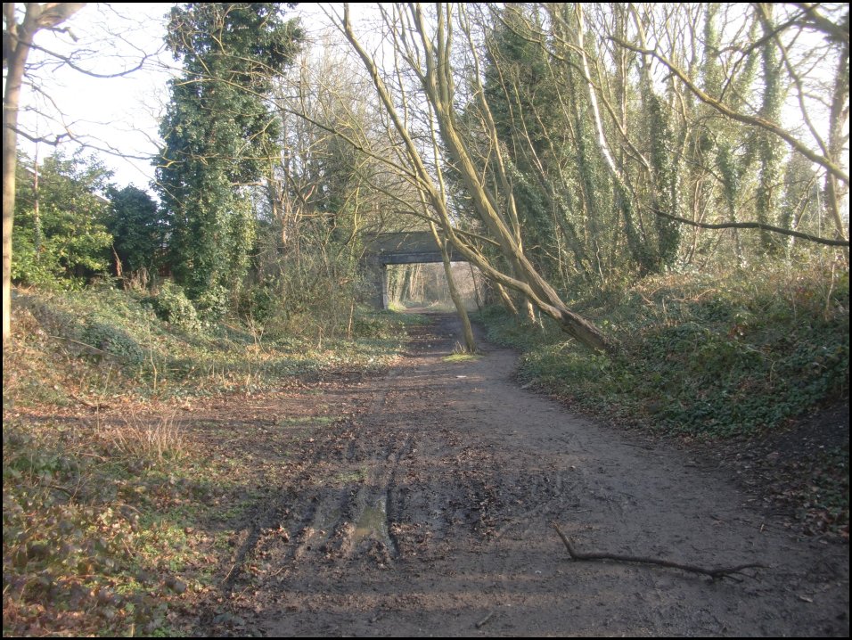 Looking North