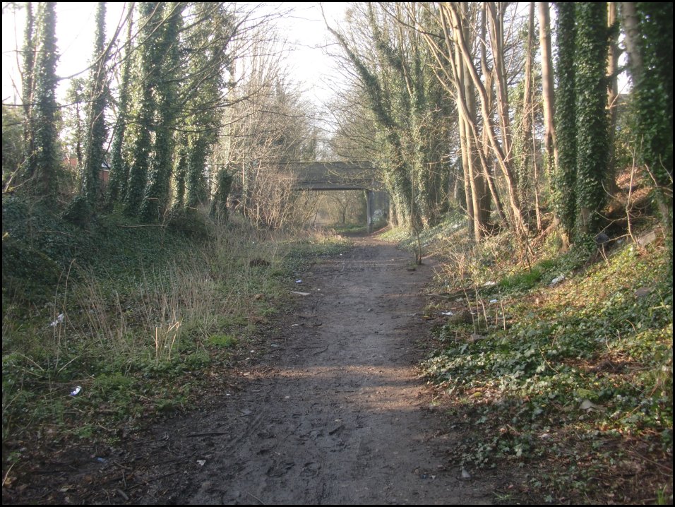 Looking South