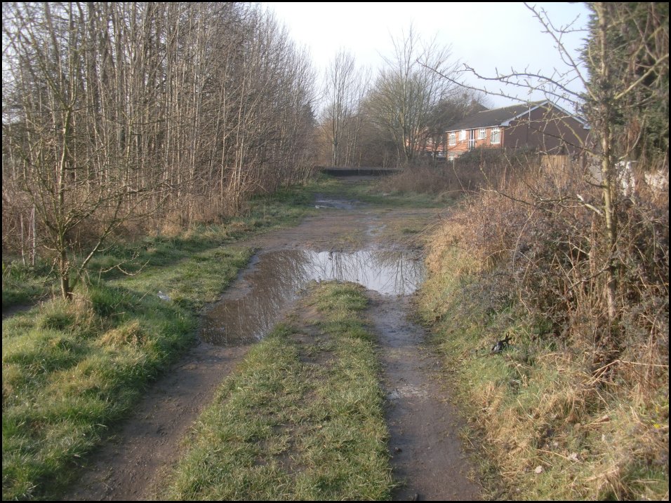 Looking South