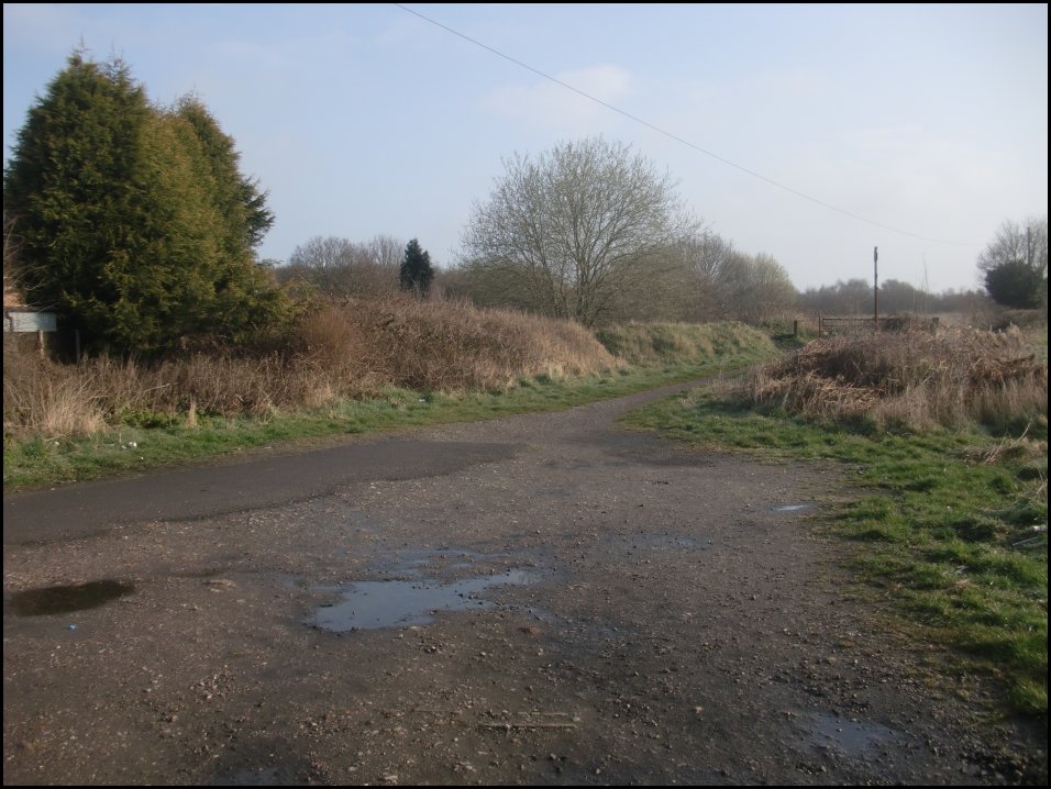 Looking North