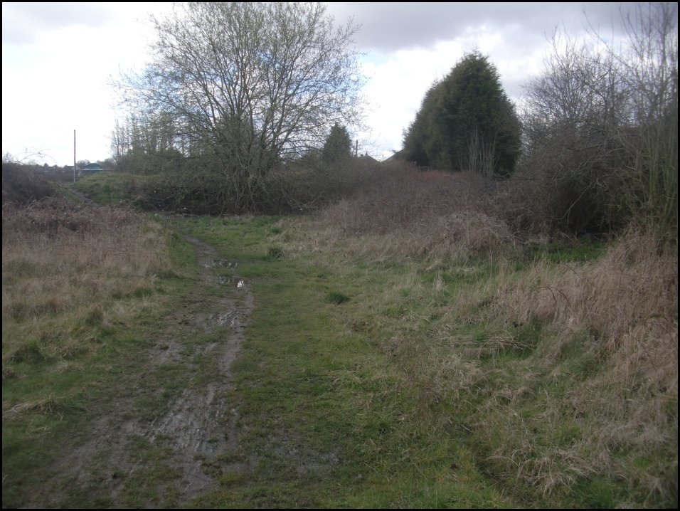Looking South