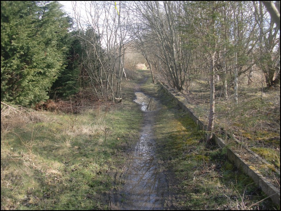 Looking South
