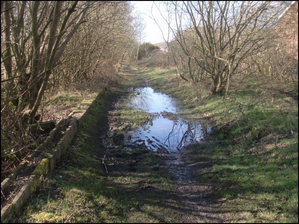 Looking South