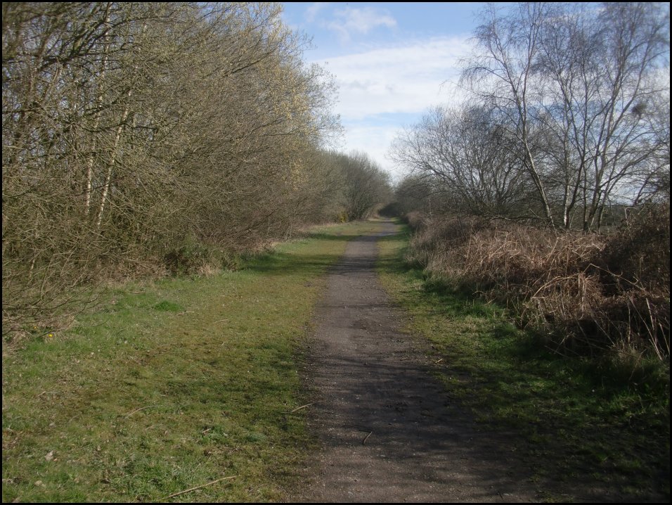 Looking North