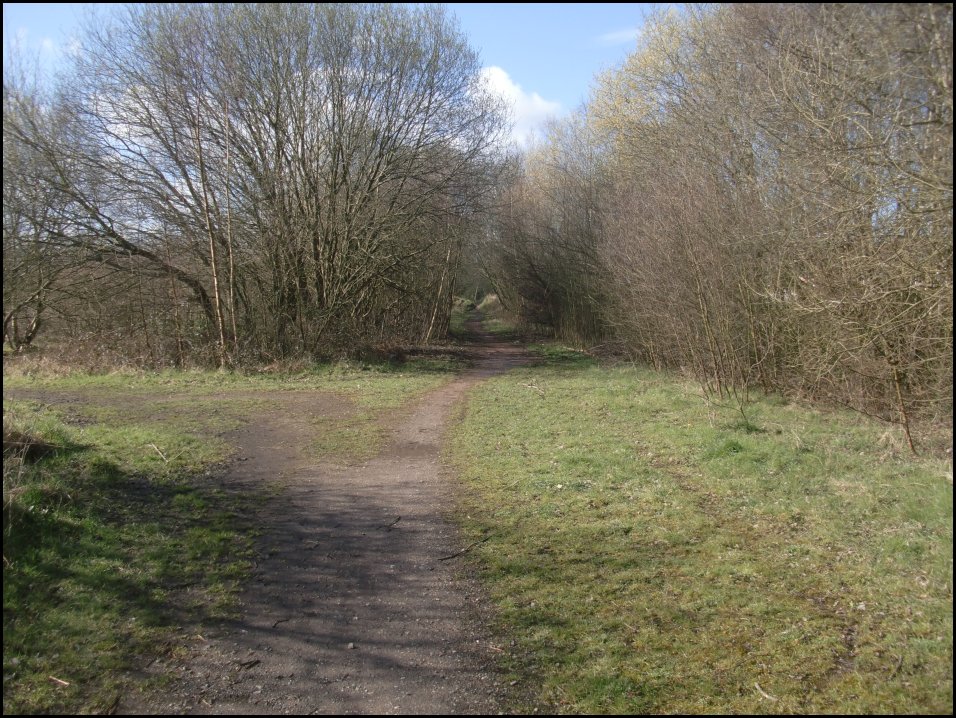 Looking South