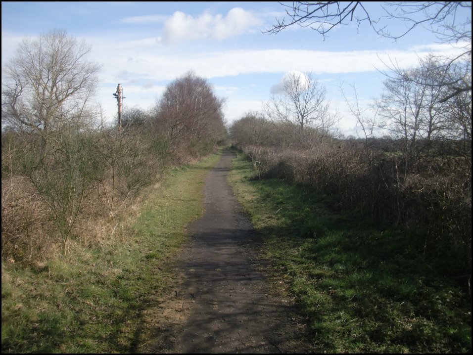 looking North