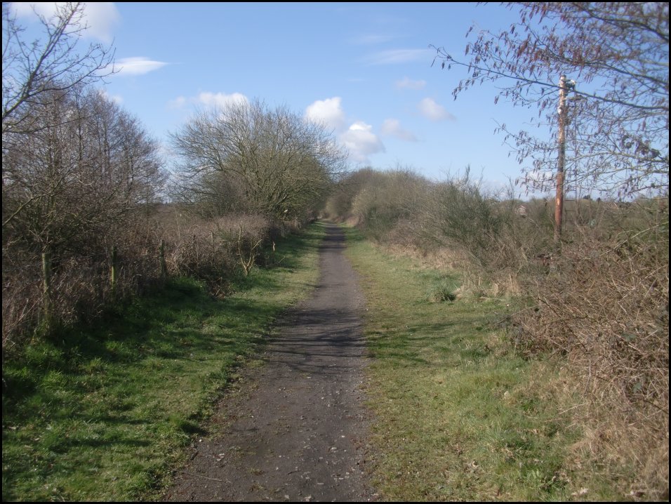 looking South