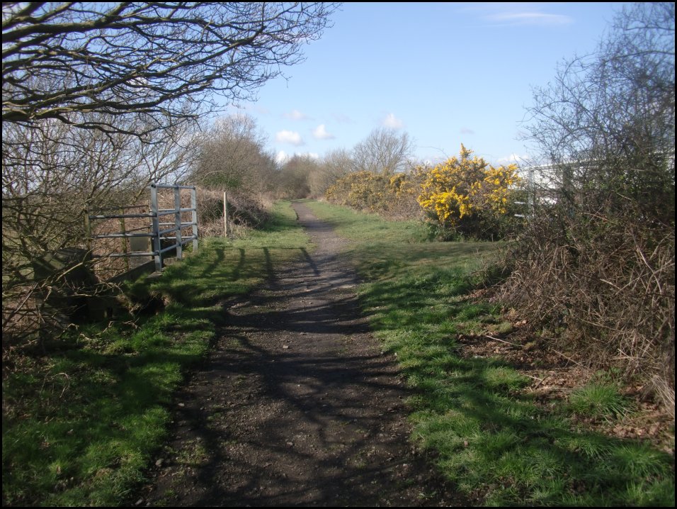 looking South