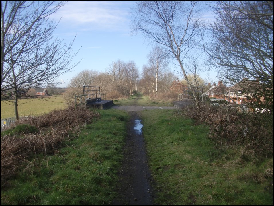 Looking South