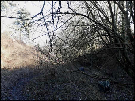 Rails