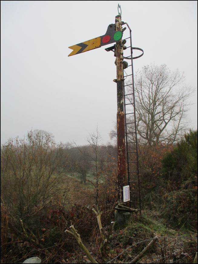 The Signal
