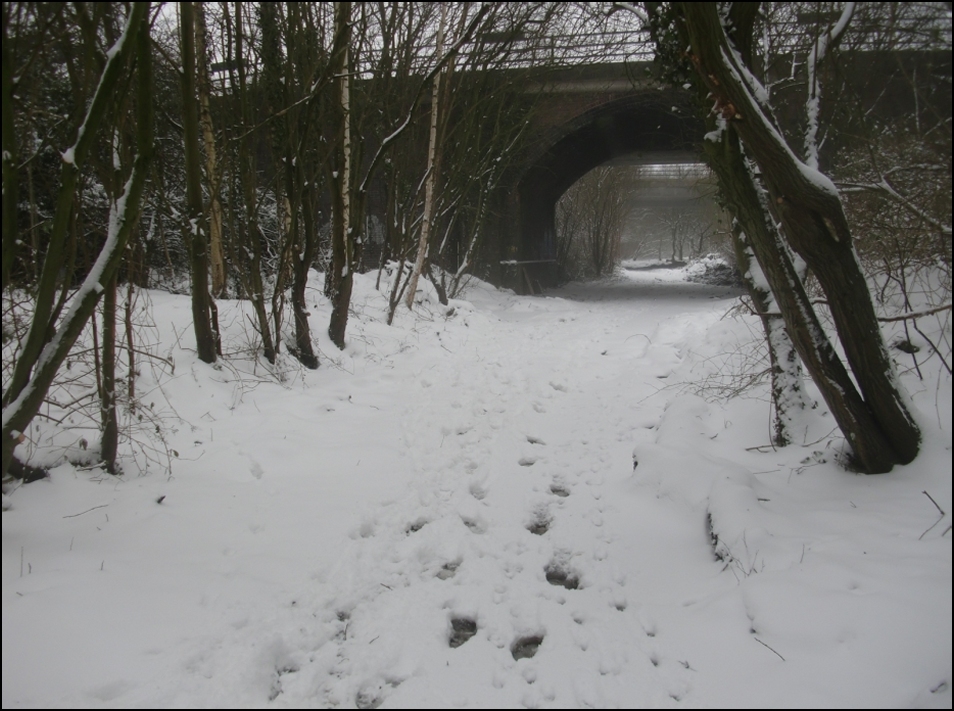 Snow