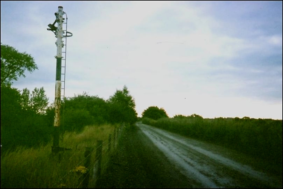 The Signal