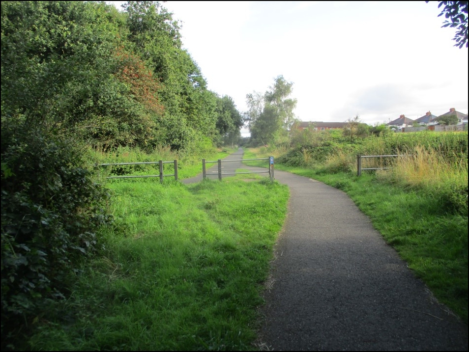 Looking North