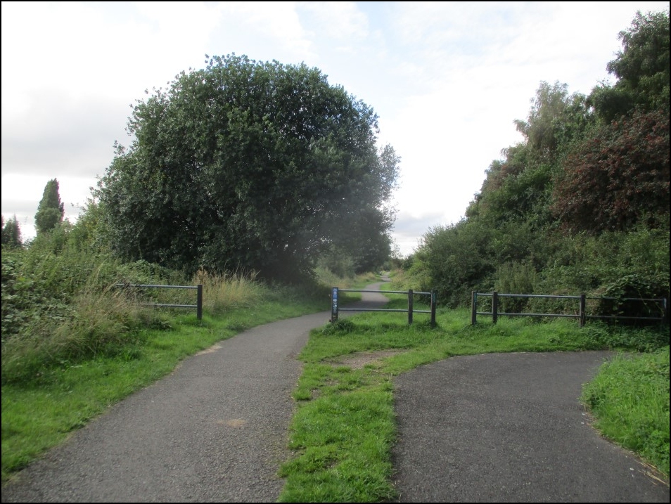 Looking South
