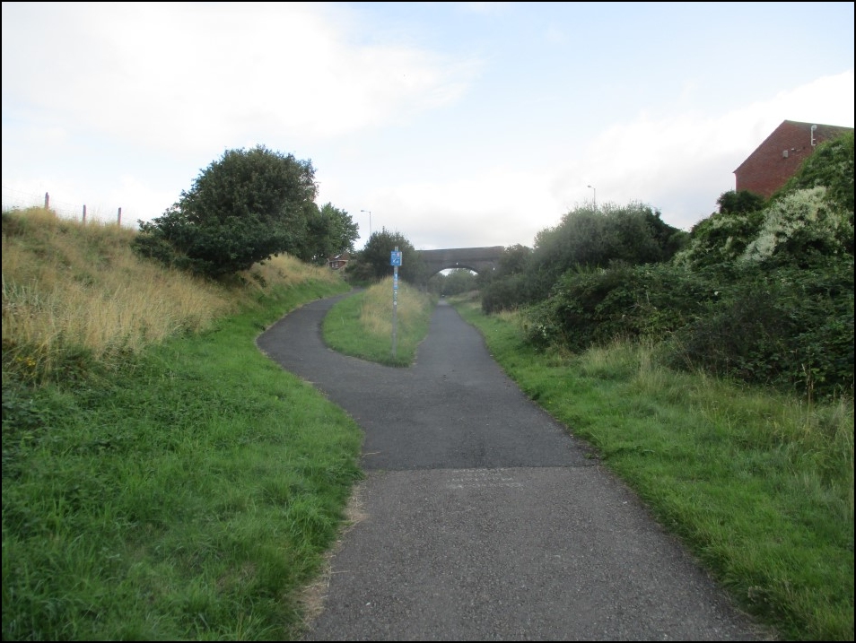 Looking North