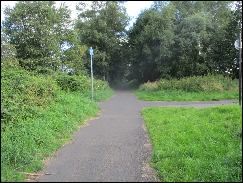 Looking North