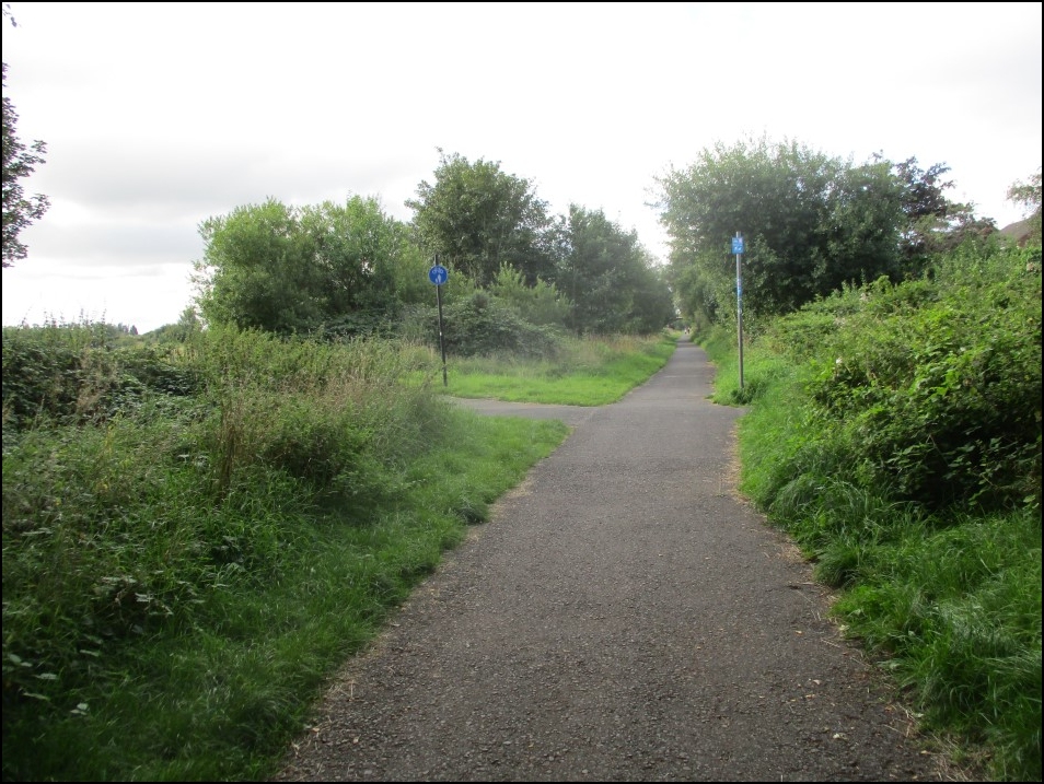 Looking South